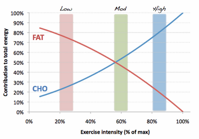 Types of intensity online in exercise