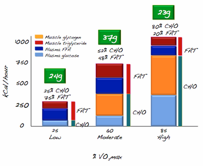 The Romijn study of % fuel vs. exercise intensity