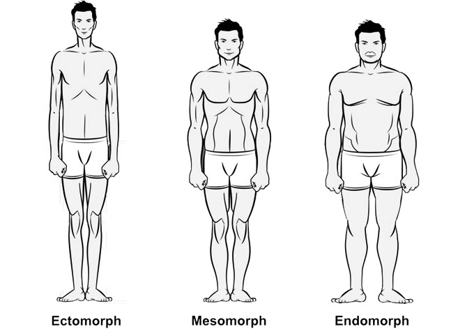 The Male Body Types: Ectomorph, Endomorph, Mesomorph