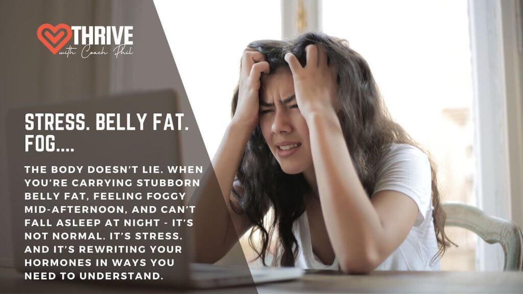 Cortisol energy fat loss brain health